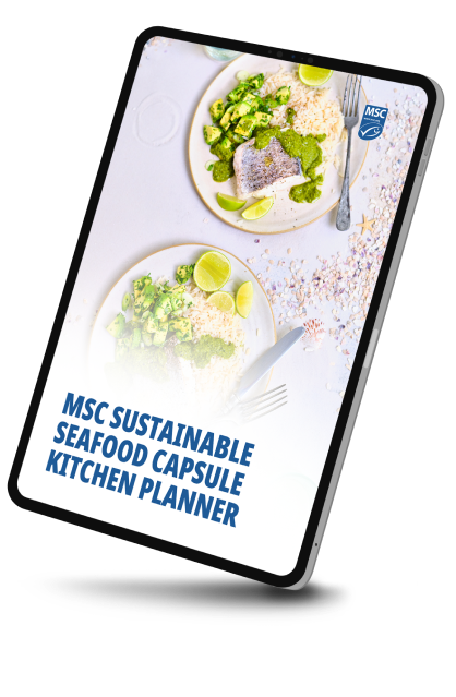 Sustainable seafood meal planner Mock up of the MSC's sustainable seafood meal planner