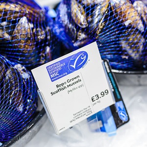 What does the blue MSC ecolabel mean?