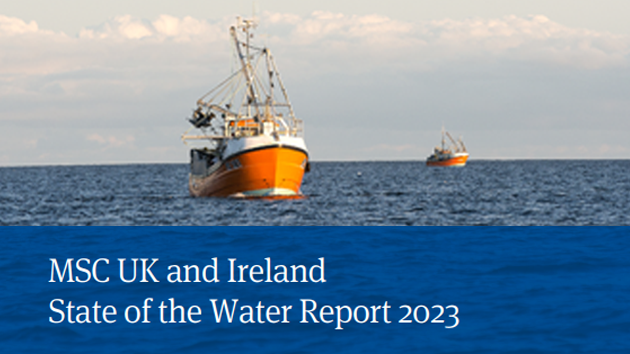 MSC UK and Ireland State of the Water Report 2023