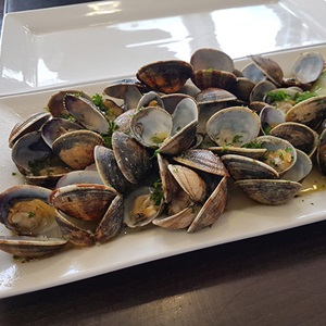 Poole harbour clam and cockle