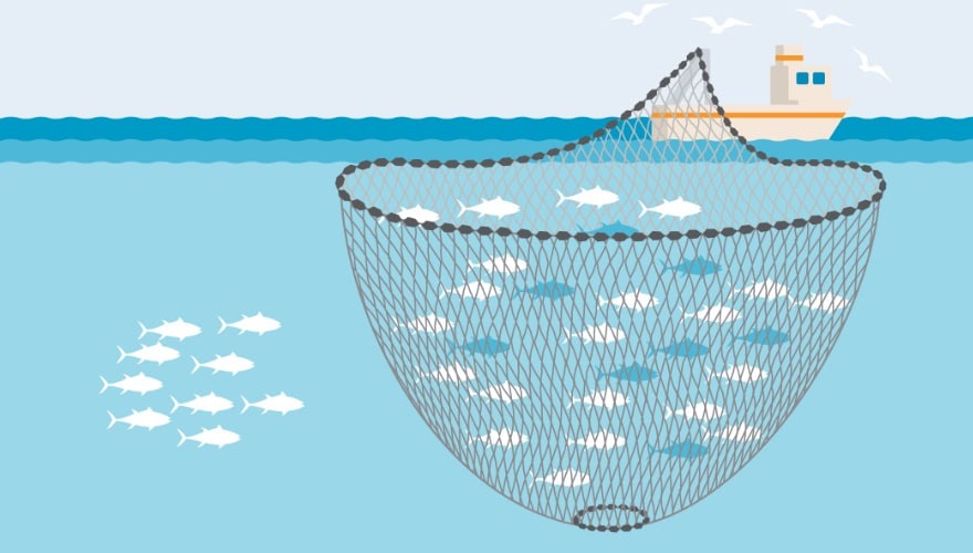 purse-seine