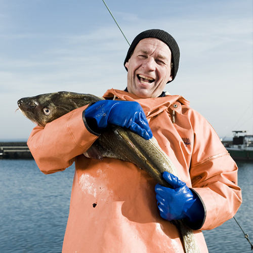 Real life stories spotlight