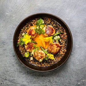 Pan fried scallops with squash puree dukkah
