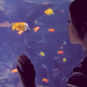 Teacher's guide and resources