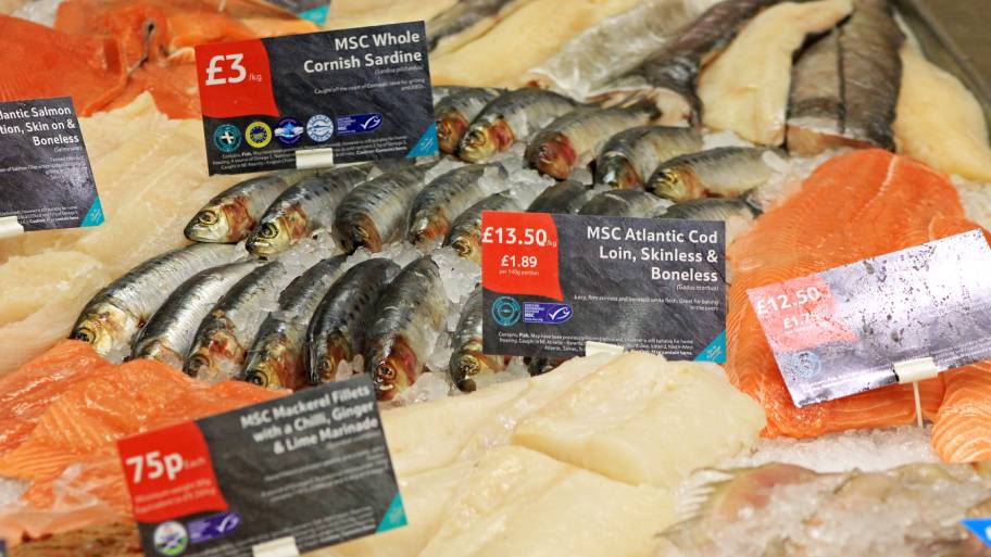 Tesco fish counter Tesco fish counter