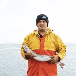 Cornish hake