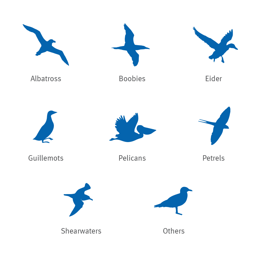 sea-birds-icons