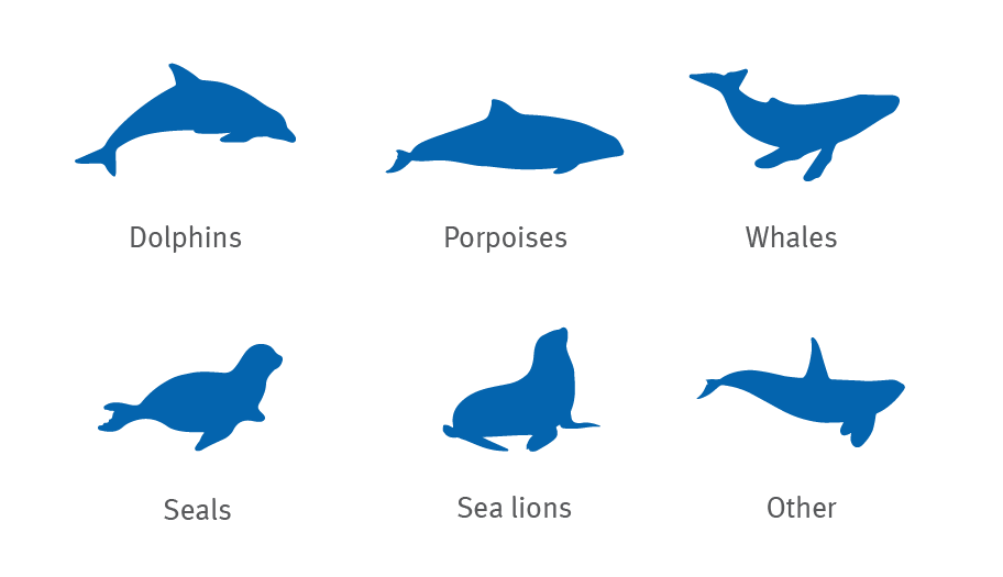 sea-mammals-icons