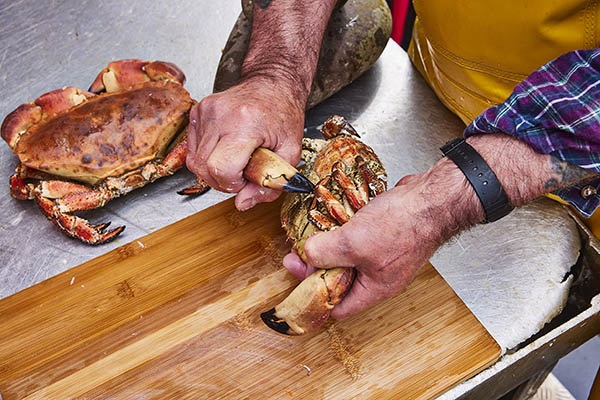 Preparing brown crab | Marine Stewardship Council