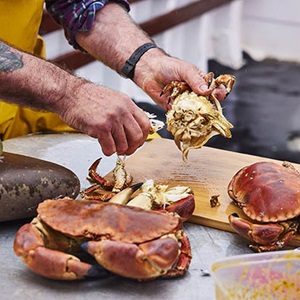 Shetland crab and scallop recipes
