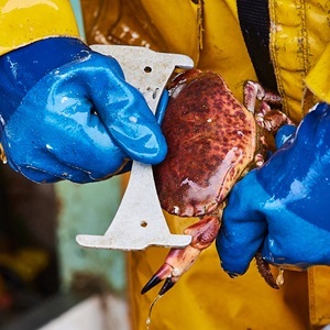What is overfishing?