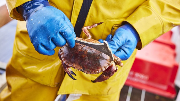 What is Sustainable fishing?