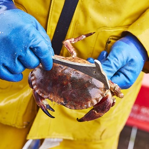 What is sustainable fishing?