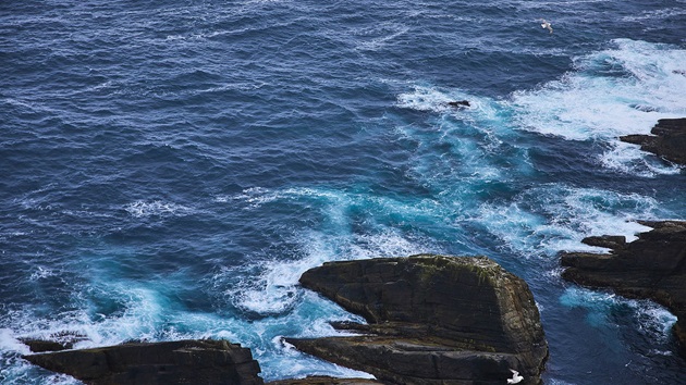 Why we should all be looking towards a blue foods future