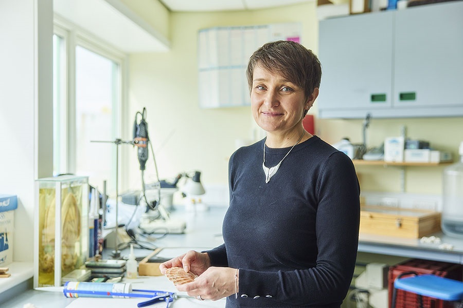 Dr Beth Mouat