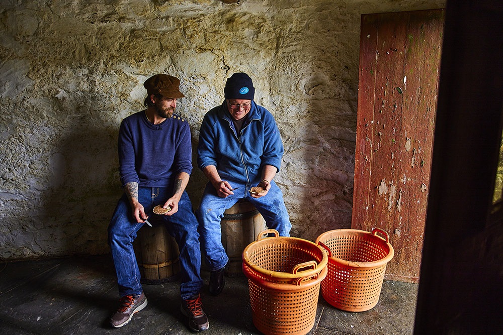 James and George Andrew shucking scallops