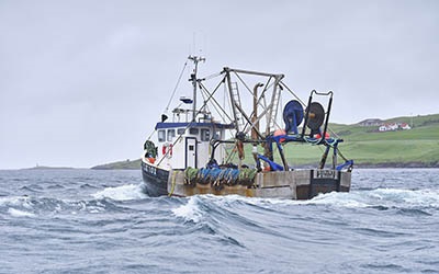 Certification bodies