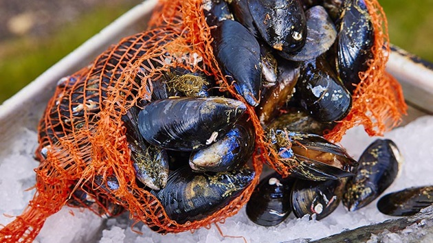 What fish should you eat across the UK & Ireland?