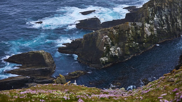 Oceans at risk