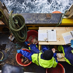 Visit the SSMO website