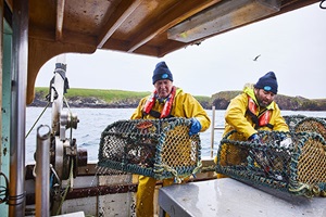 Crab fisherman pulling in creel pots