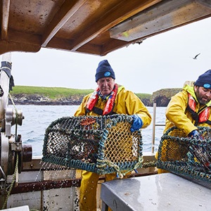 Crab fisherman pulling in creel pots