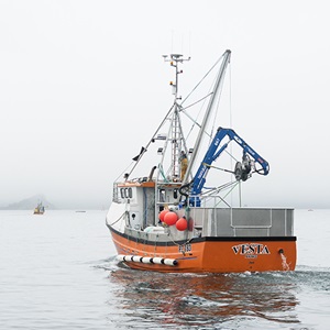 Cornish sardine fishing boat