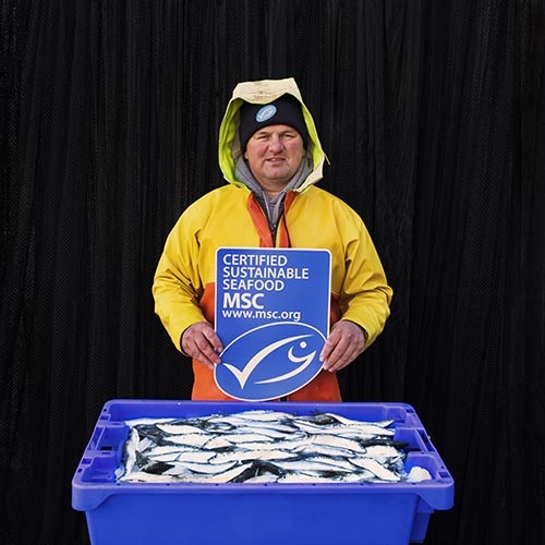 Man in fishing overalls holding MSC logo in front of crate of fish
