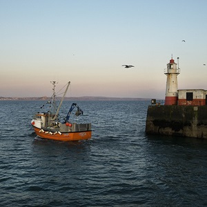 Sardine boat sailing past lighthouse