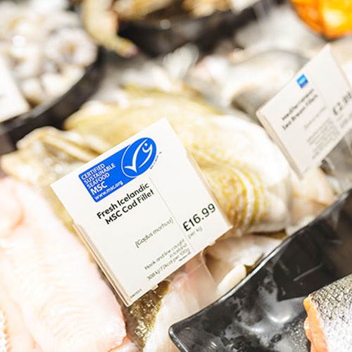 Is seafood with the blue MSC ecolabel really sustainable?