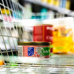 Where to buy MSC certified fish and seafood