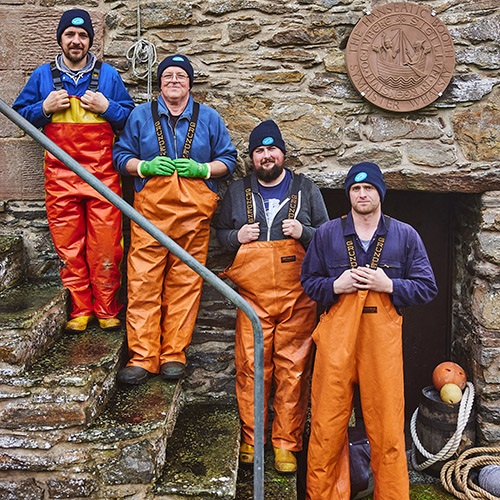 Shetland scallops