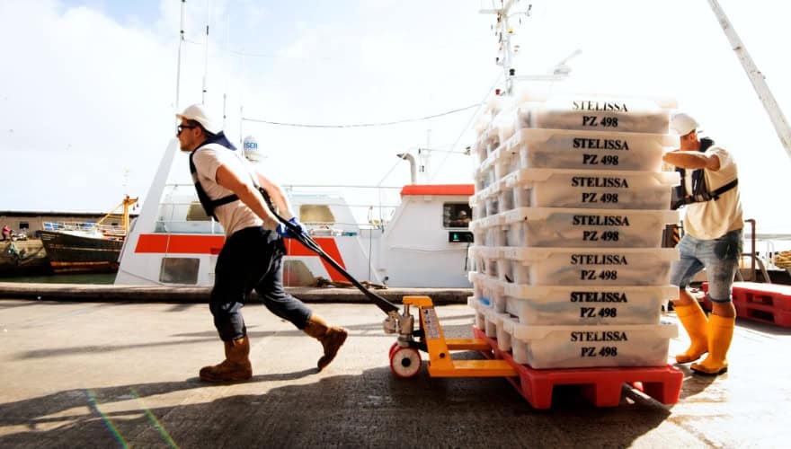 Cornish Hake Gillnet Fishery - 5