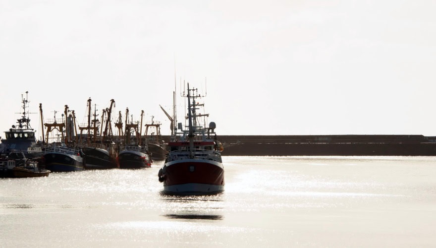 Cornish Hake Gillnet Fishery - 3