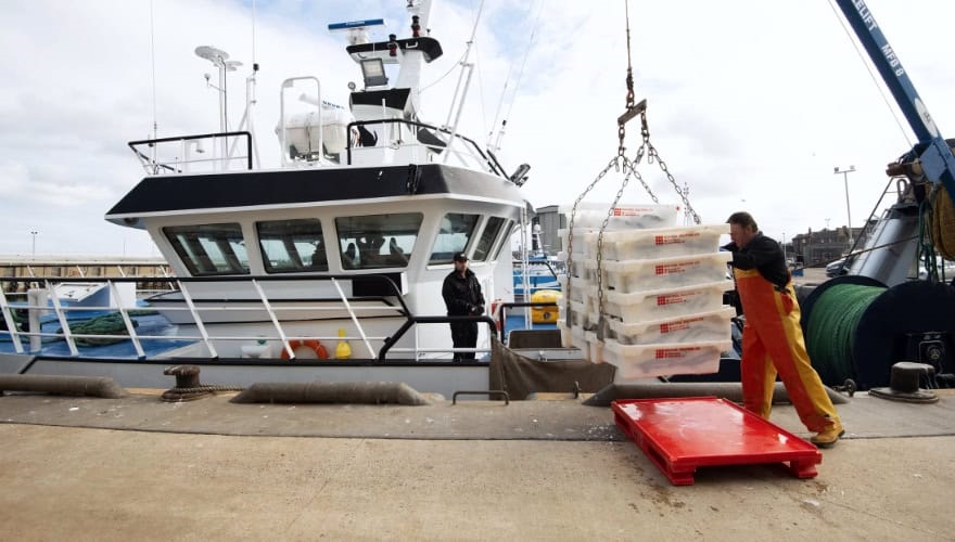 Unloading the Boy Andrew