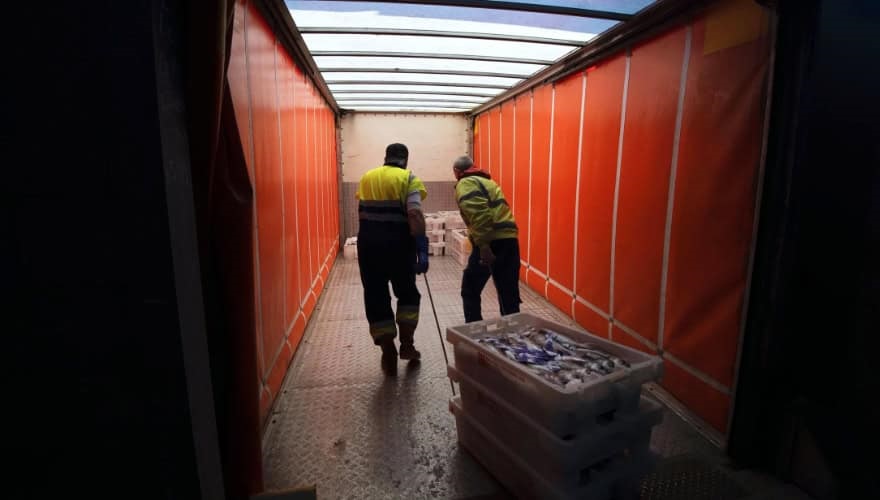 Peterhead fish auction
