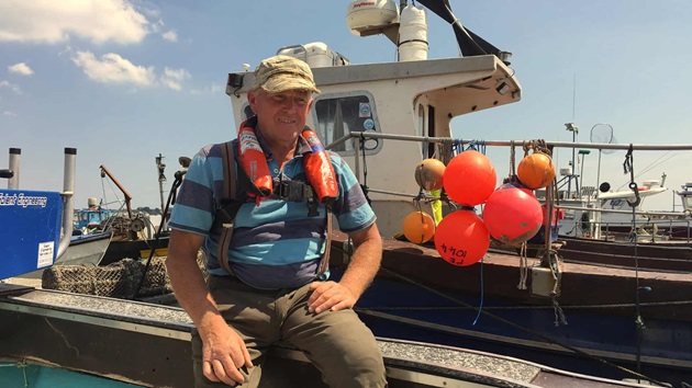 Poole Harbour clams and cockles