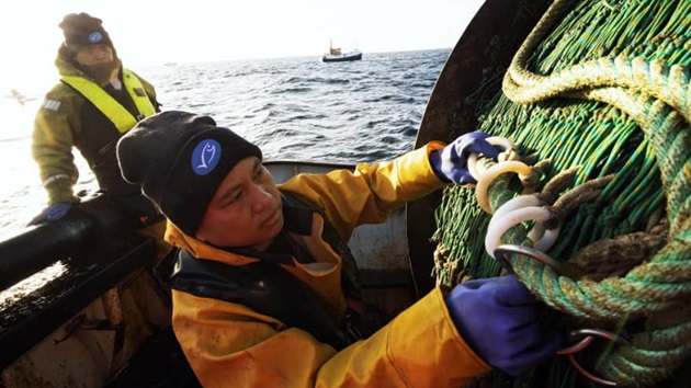 How MSC Certified fisheries are improving