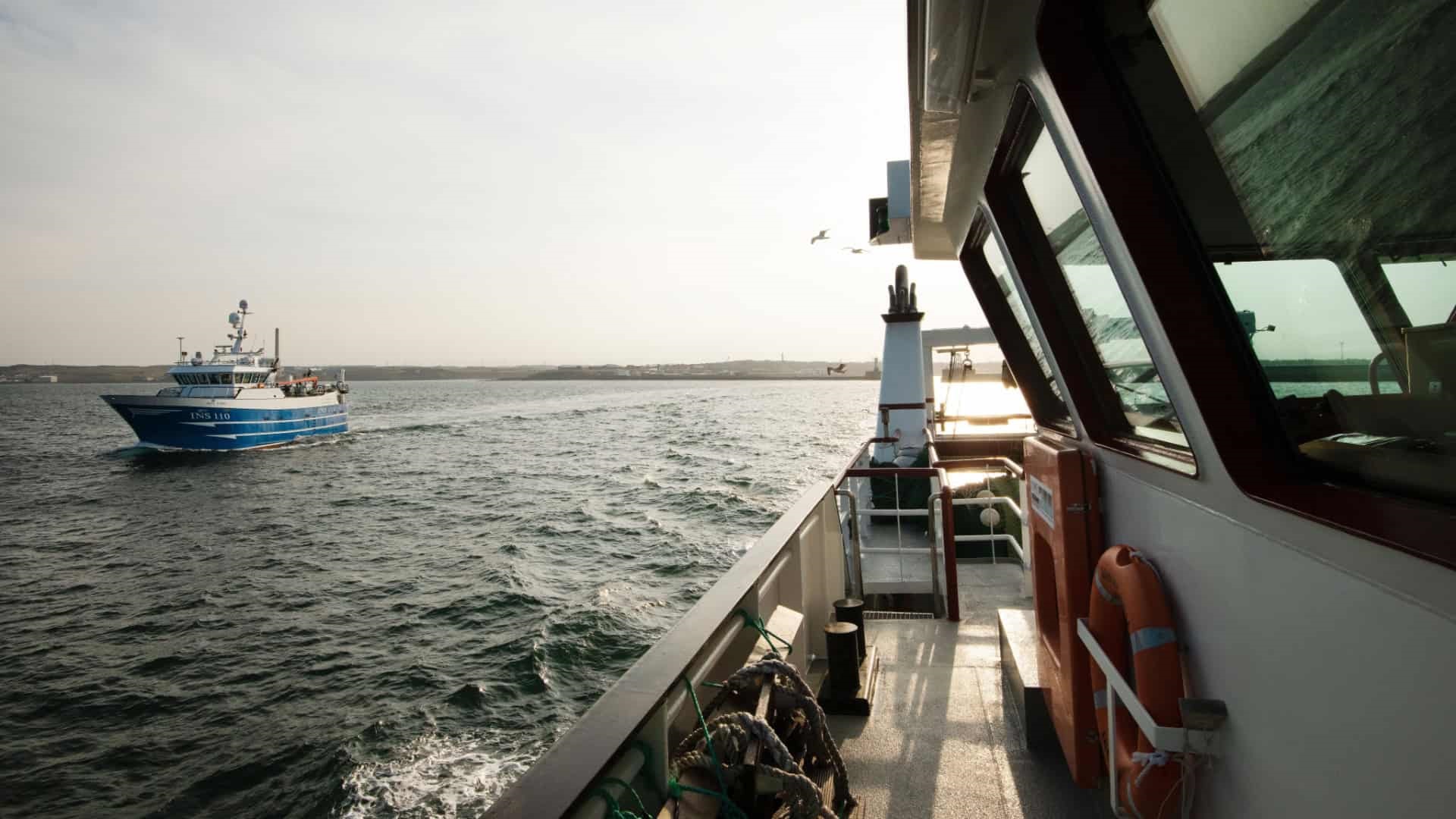 The Certification of SFSAG Scottish Haddock