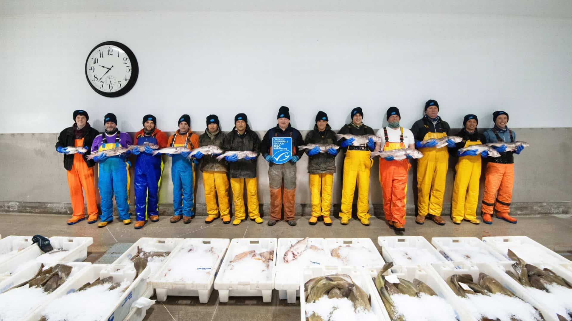 The Certification of SFSAG Scottish Haddock