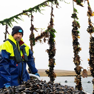 Read the fishery factsheet