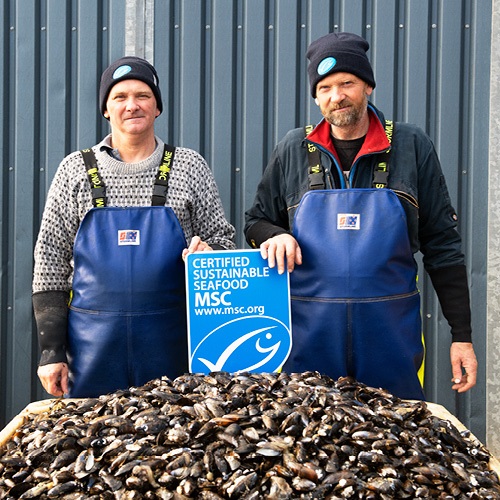 For the mussels fishermen…  