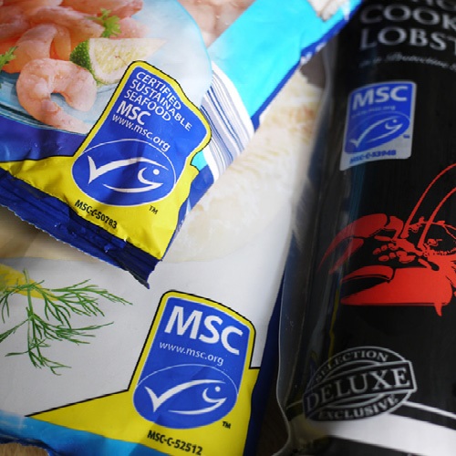 What does the MSC blue fish label mean?