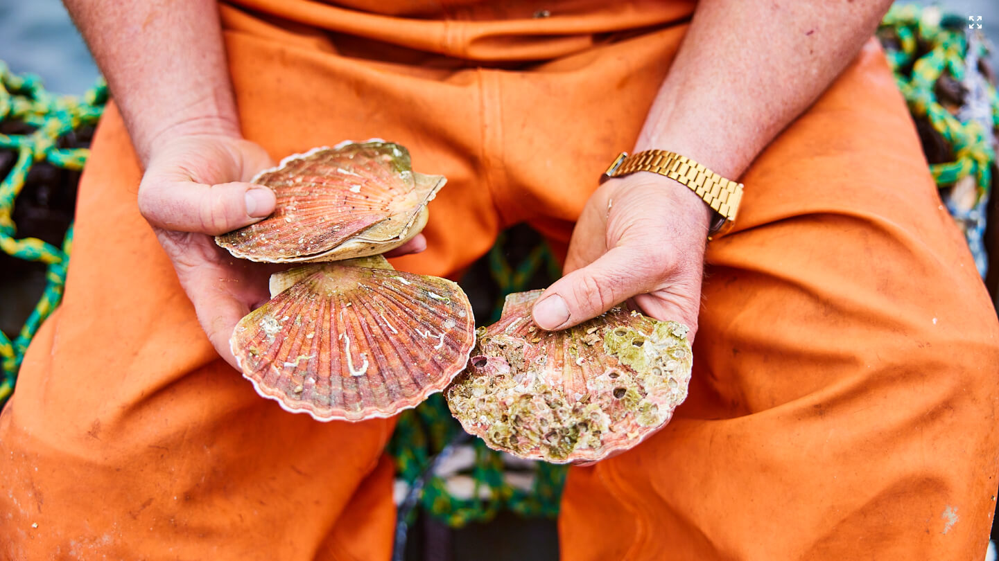 Sustainability at the heart of Shetland’s Scallop fishing Community