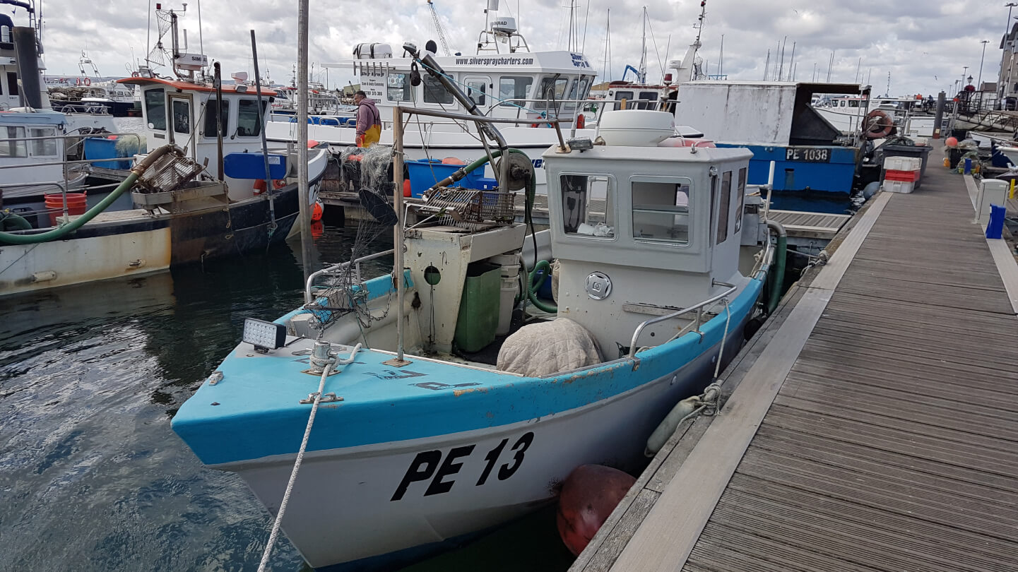 Poole Harbour clams and cockles Sustaining nature while fishing for